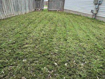 Lawn care service in San Antonio, 78240