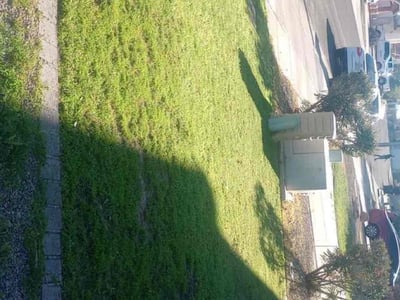 Lawn care service in Mesa, 85212