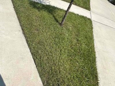 Lawn care service in Okahumpka, 34762