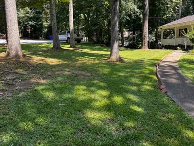 Lawn care service in Canton, 30115