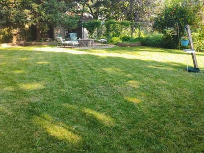 Lawn care service in Omaha, 68104