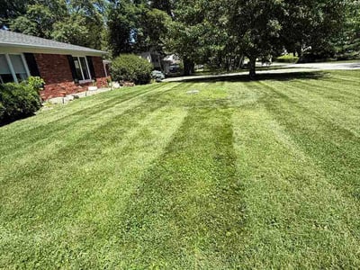 Lawn care service in Indianapolis, 46217