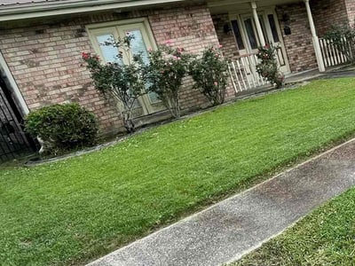 Lawn care service in Violet, 70092