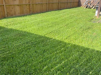 Lawn care service in Pearland, 77584
