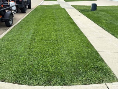 Lawn care service in Cedar Rapids, 52404