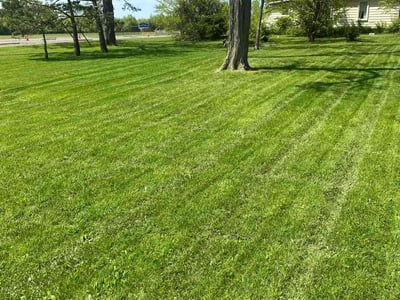 Lawn care service in Dayton, 45414