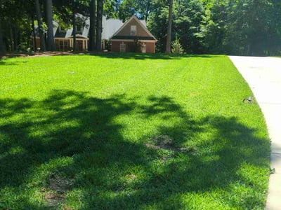 Lawn care service in Waxhaw, 28173