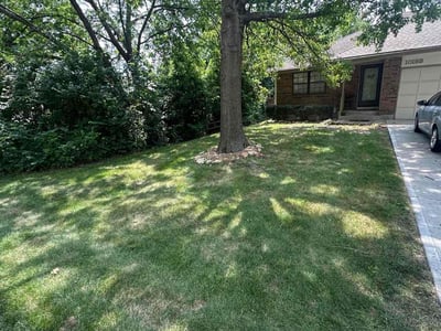 Lawn care service in Lee's Summit, 64063