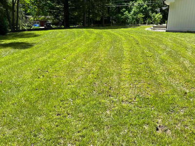 Lawn care service in Holmes, 12531