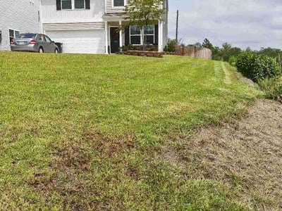 Lawn care service in Lexington, 29073