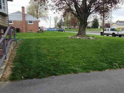 Lawn care service in Ronks, 17572