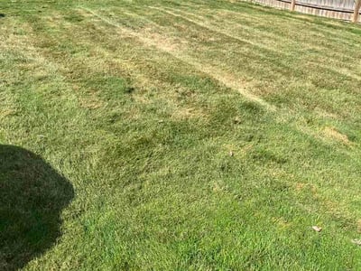 Lawn care service in Warren, 48089