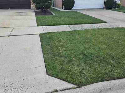 Lawn care service in Crestwood, 60445