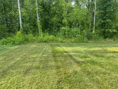 Lawn care service in Grafton, 44044