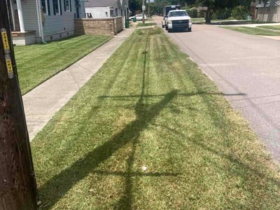Lawn care service in Metairie, 70005