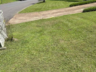 Lawn care service in Chattanooga, 37343