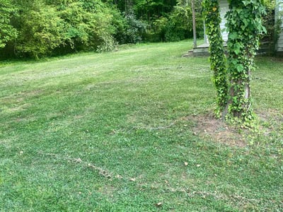 Lawn care service in Garner, 27529