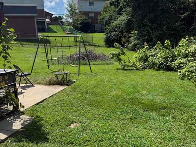 Lawn care service in Cincinnati, 45239