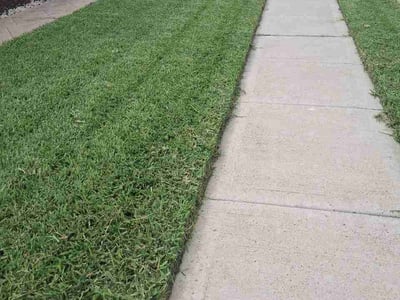 Lawn care service in Mission, 78574