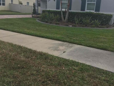 Lawn care service in Winter Garden, 34787