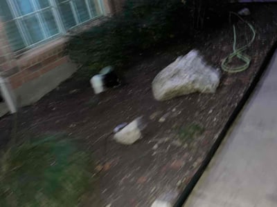 Lawn care service in San Antonio, 78240