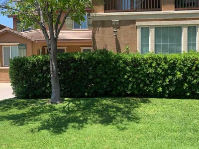 Lawn care service in Corona, 92880