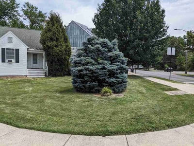 Lawn care service in Arlington, 22201