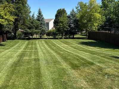Lawn care service in Fishers, 46038