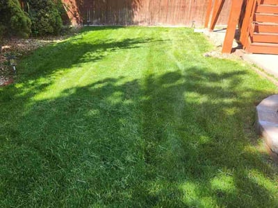 Lawn care service in Littleton, 80130