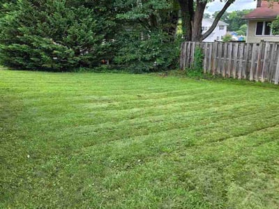 Lawn care service in Edgewood, 21040