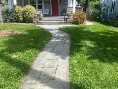 Lawn care service in Washington, 20016