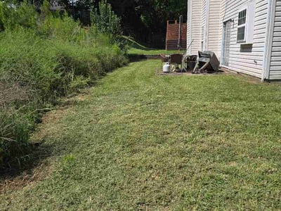 Lawn care service in Charlotte, 28215