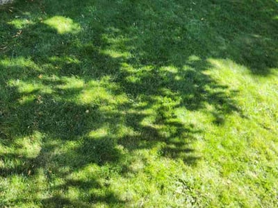 Lawn care service in Louisville, 80027