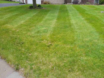 Lawn care service in Rogers, 55374