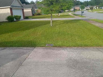 Lawn care service in Savannah, 31419