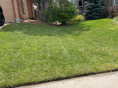 Lawn care service in Westminster, 80031