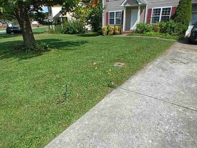 Lawn care service in Clarksville, 37042