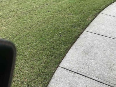 Lawn care service in Youngsville, 27596