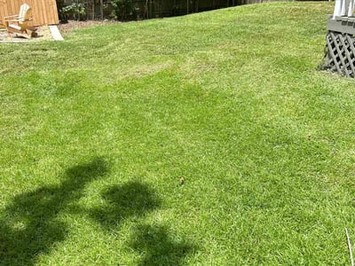 Lawn care service in Tallahassee, 32304