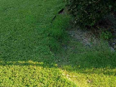 Lawn care service in Grand Prairie, 75052