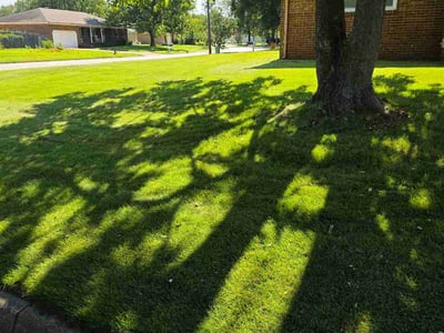 Lawn care service in Virginia Beach, 23464