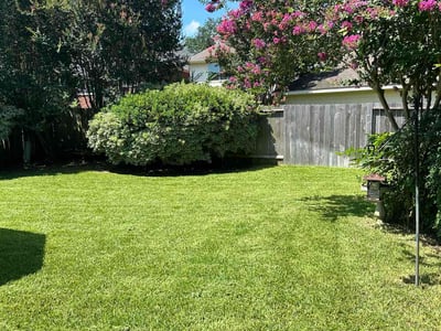 Lawn care service in Sugar Land, 77479