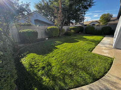Lawn care service in Roseville, 95747