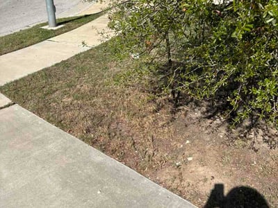 Lawn care service in Round Rock, 78665