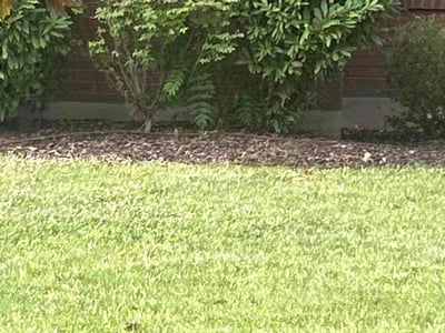 Lawn care service in Salt Lake City, 84109