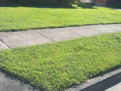 Lawn care service in Lexington, 40505