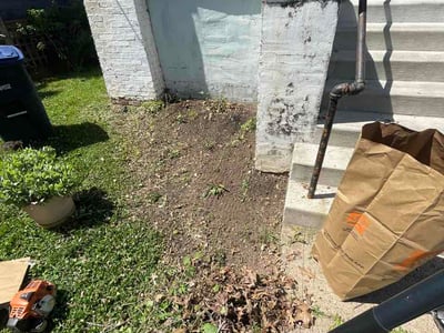 Lawn care service in Washington, 20018