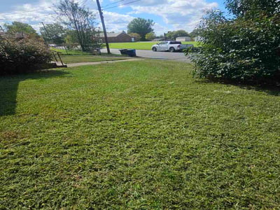 Lawn care service in Winston-Salem, 27105