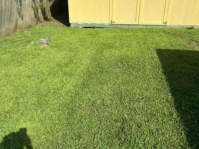 Lawn care service in Metairie, 70003