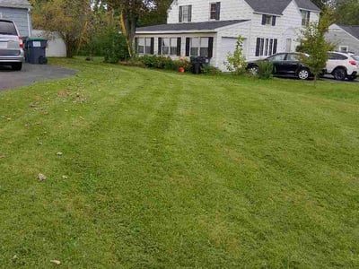 Lawn care service in Niskayuna, 12309